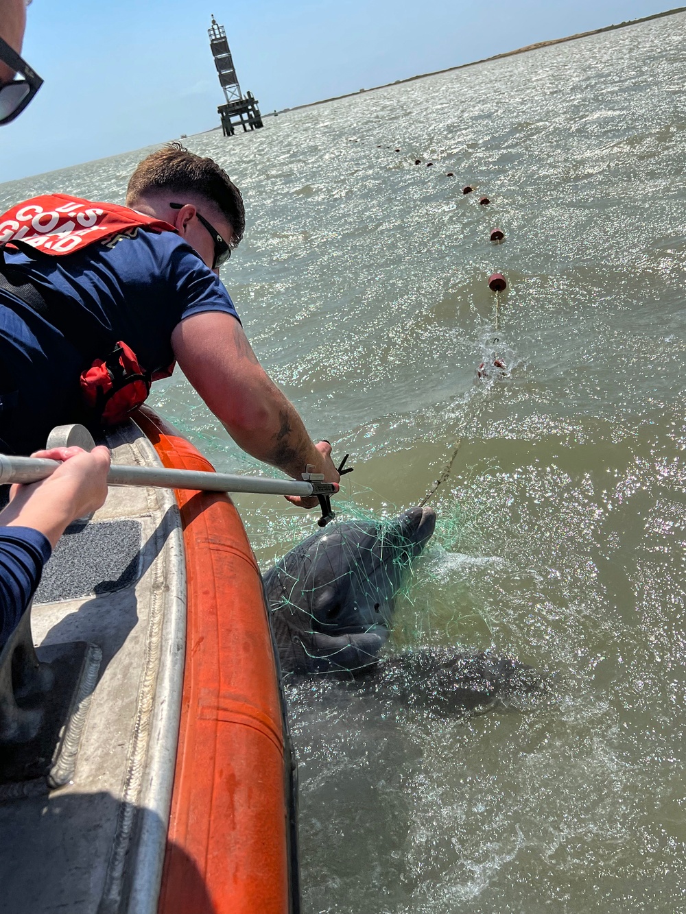 Coast Guard rescues dolphin from illegal fishing net near South Padre Island, Texas
