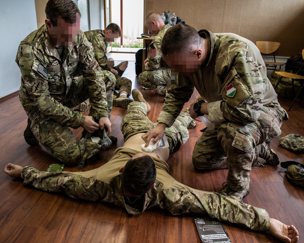 Trojan Footprint 22 tests interoperability, increases allied partnership