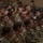 The Bronco Battalion - Ruck March