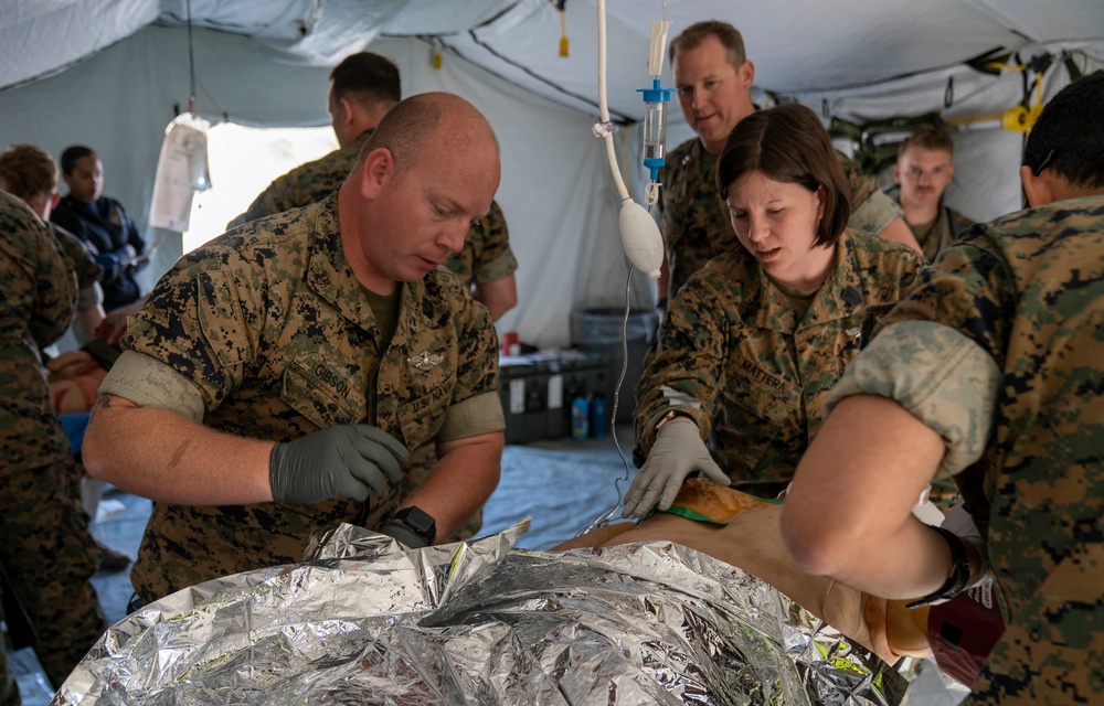 NEMTI Assists in Operation Firebreak