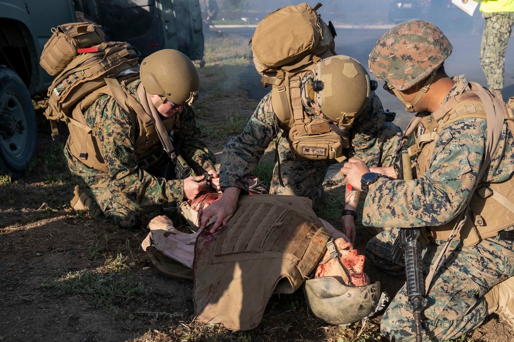 NEMTI Assists in Operation Firebreak