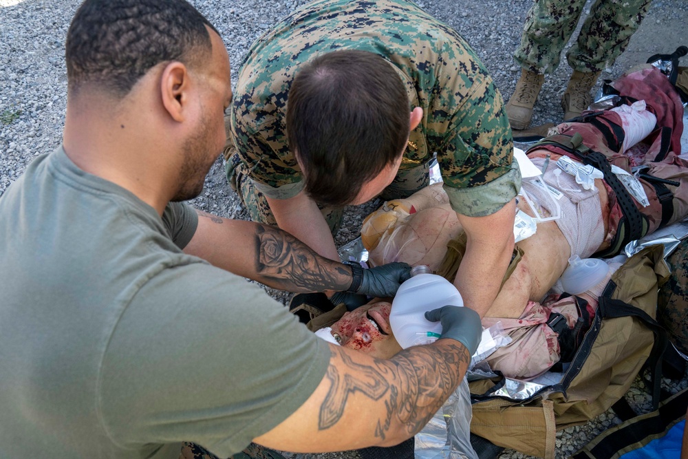 NEMTI Assists in Operation Firebreak