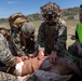 NEMTI Assists in Operation Firebreak