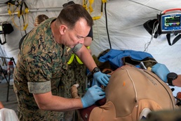 NEMTI Assists in Operation Firebreak