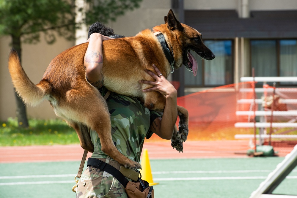 USFK MWD handlers compete for top dog
