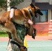 USFK MWD handlers compete for top dog