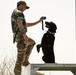 USFK MWD handlers compete for top dog