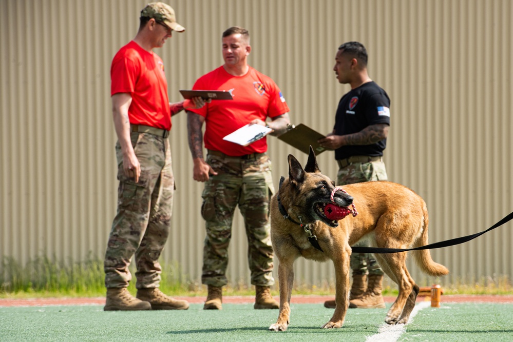 USFK MWD handlers compete for top dog