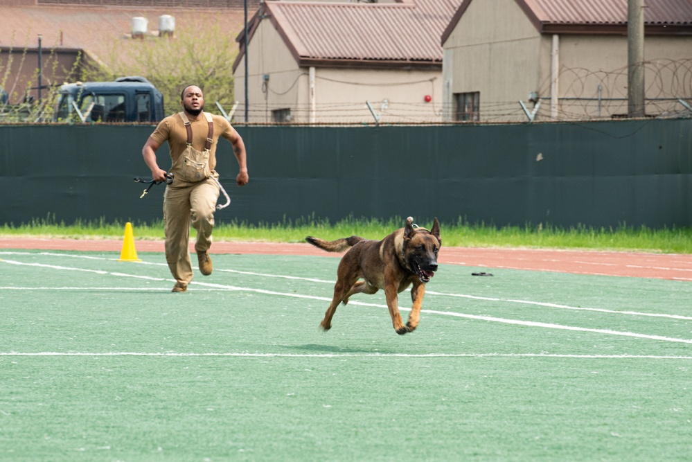 USFK MWD handlers compete for top dog