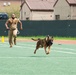 USFK MWD handlers compete for top dog