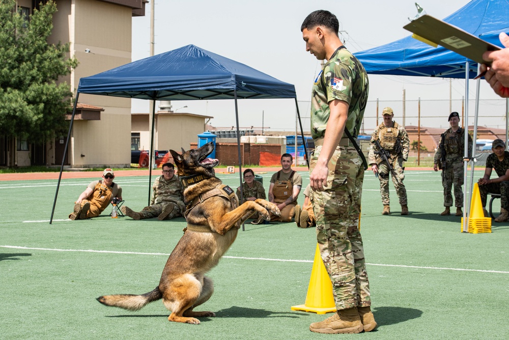 USFK MWD handlers compete for top dog