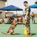 USFK MWD handlers compete for top dog