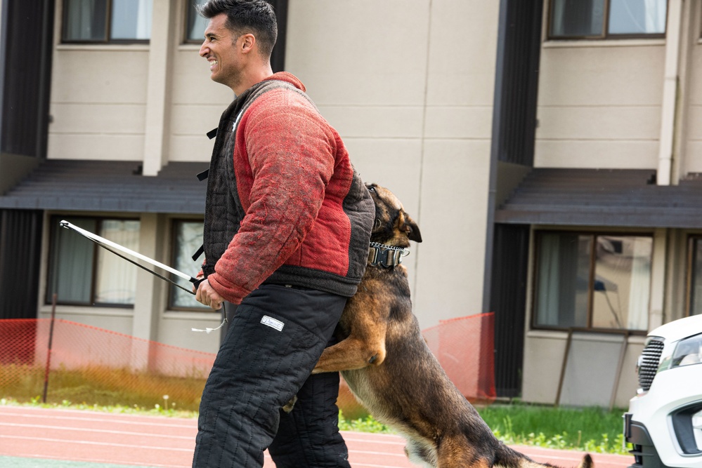USFK MWD handlers compete for top dog