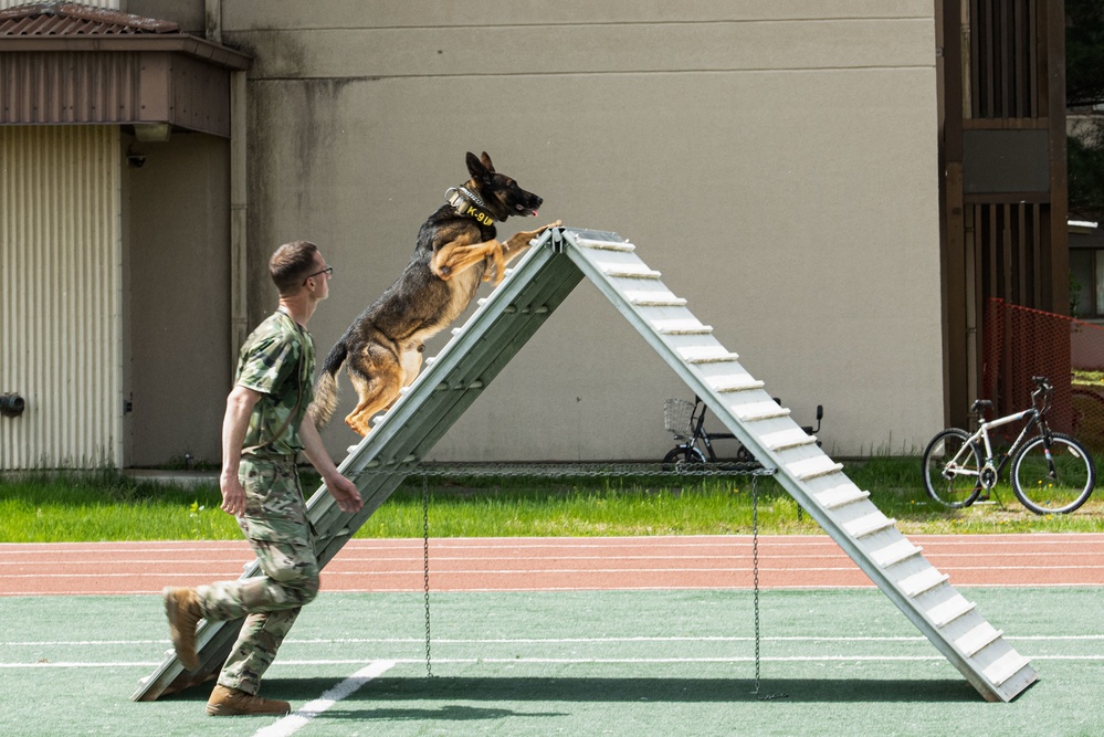 USFK MWD handlers compete for top dog