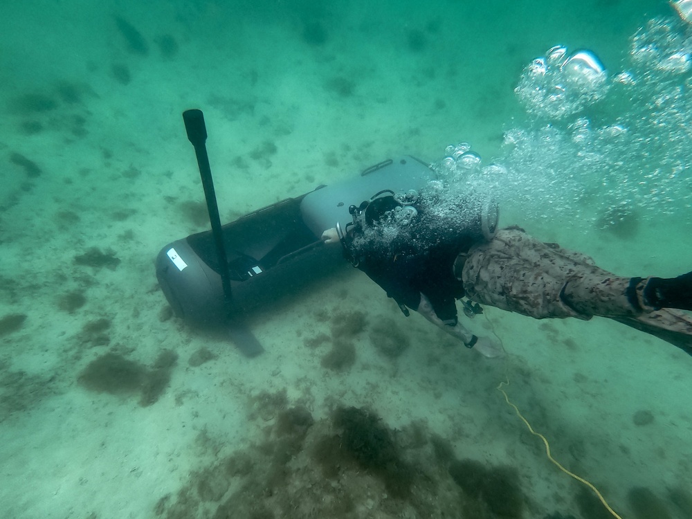 3d Reconnaissance Battalion EDPD Dive