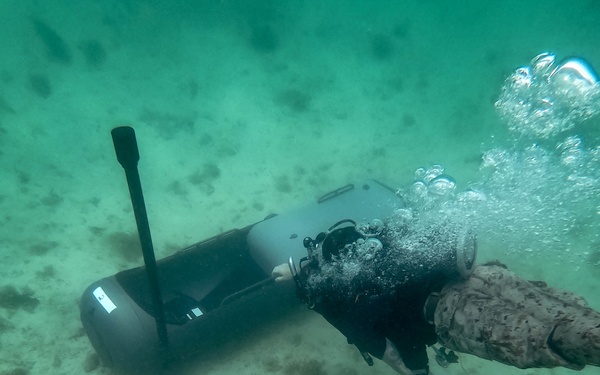 3d Reconnaissance Battalion EDPD Dive