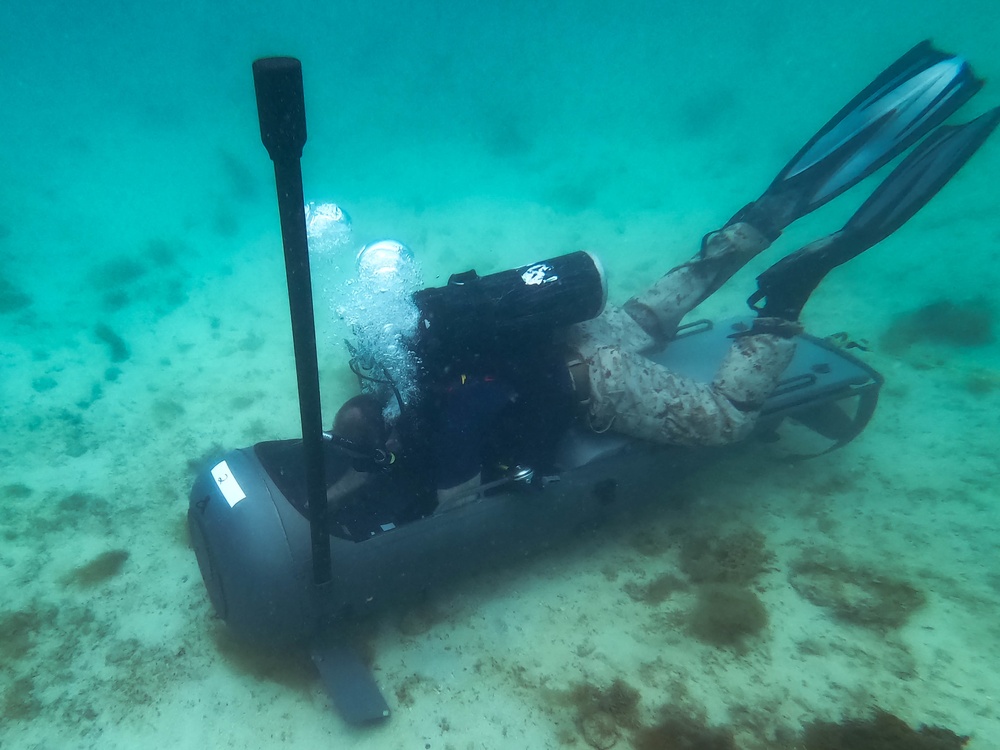 3d Reconnaissance Battalion EDPD Dive