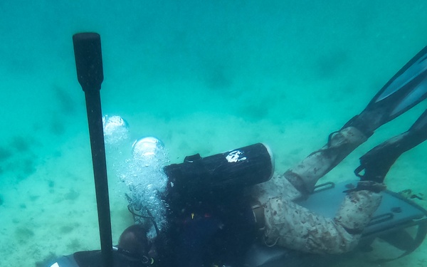 3d Reconnaissance Battalion EDPD Dive