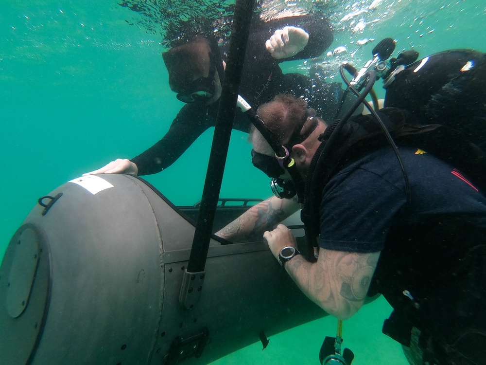 3d Reconnaissance Battalion EDPD Dive
