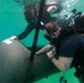 3d Reconnaissance Battalion EDPD Dive