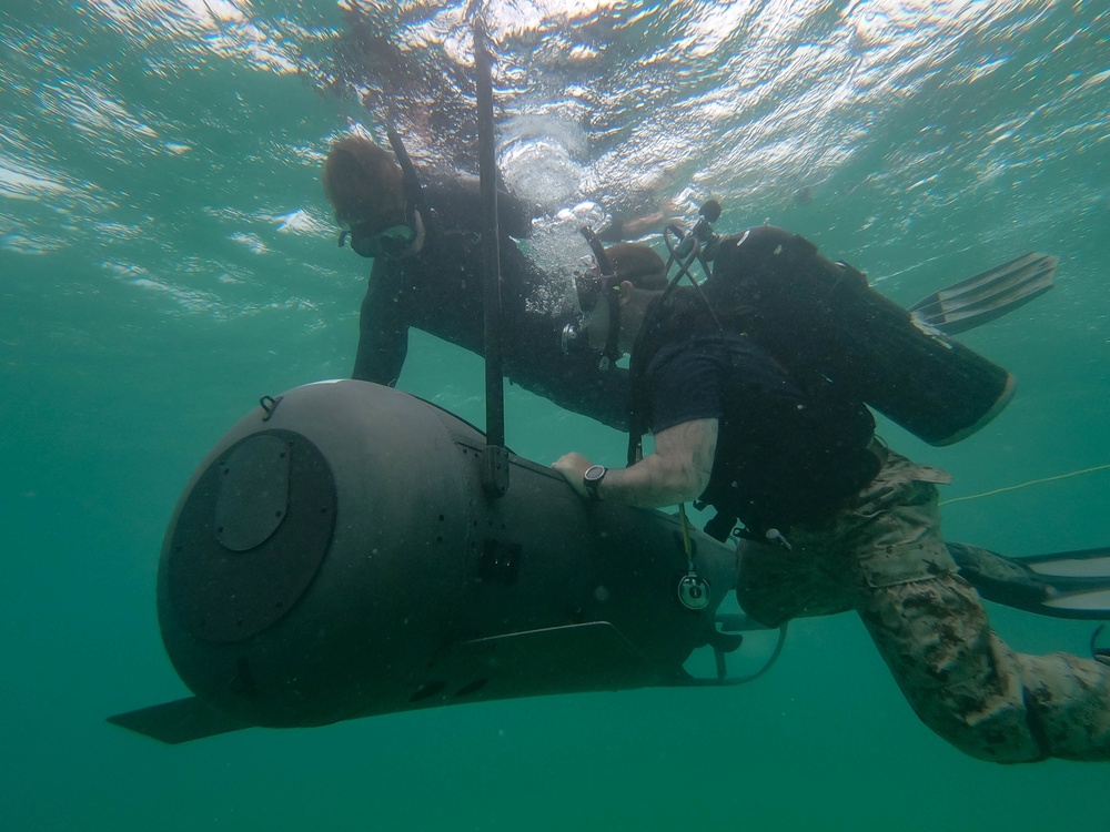 3d Reconnaissance Battalion EDPD Dive