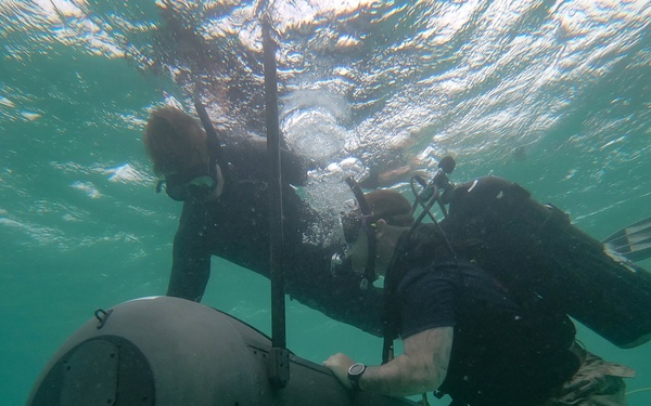 3d Reconnaissance Battalion EDPD Dive