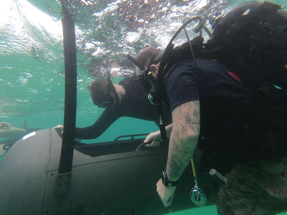 3d Reconnaissance Battalion EDPD Dive