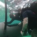 3d Reconnaissance Battalion EDPD Dive