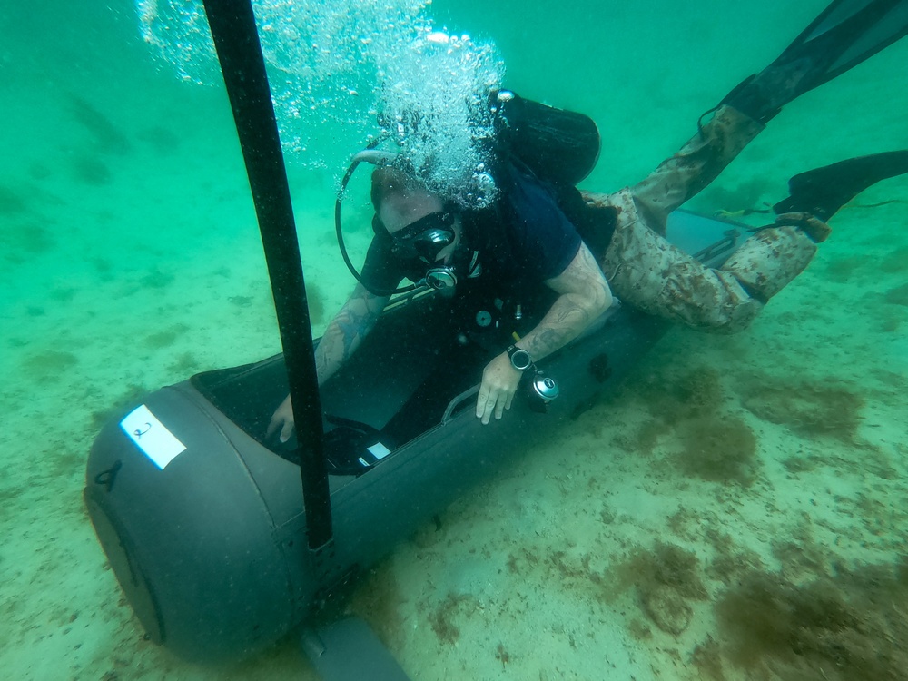 3d Reconnaissance Battalion EDPD Dive