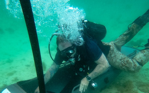 3d Reconnaissance Battalion EDPD Dive