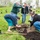 A group of volunteers is engaged in a community tree-planting event on a grassy hillside. Several people are actively working together to plant a young bare-root tree, with two individuals kneeling to pack soil around the base while others assist and observe. Multiple potted saplings and trees in black containers are visible across the landscape, indicating a large-scale planting effort.