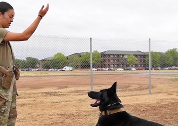 Her story: Silva tells how it was