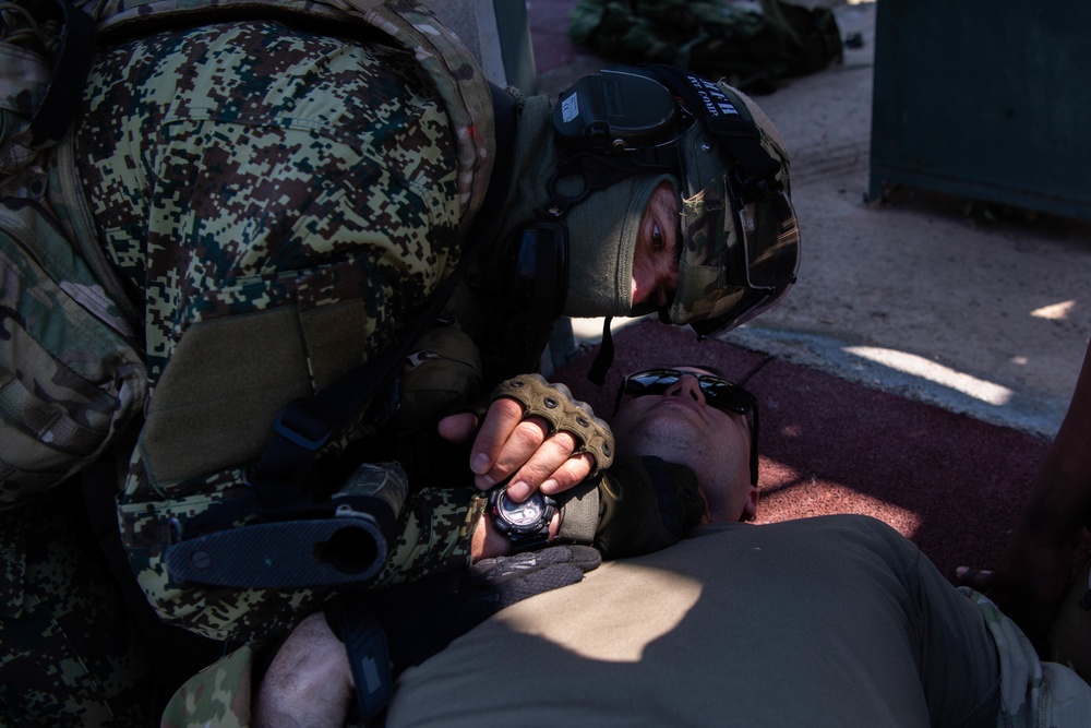 86th AES and 31st Saros simulate Aeromedical Evacuation