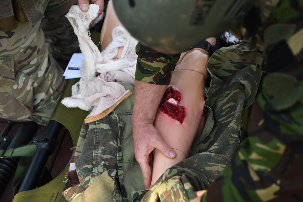 86th AES and 31st Saros simulate Aeromedical Evacuation