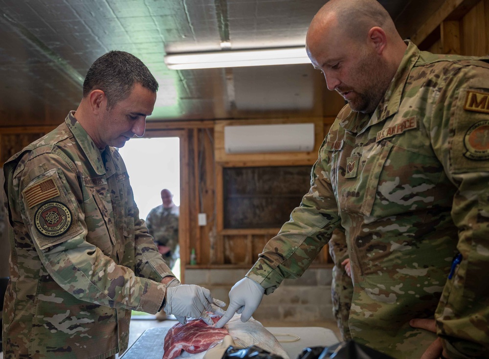 Air Mobility Command leadership experience Dover AFB mission