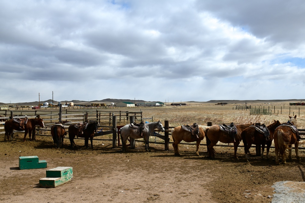 Wyoming Wanderers: Wander over to the bison ranch