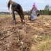 Dozens attend Fort McCoy’s 2022 Arbor Day observance, tree planting