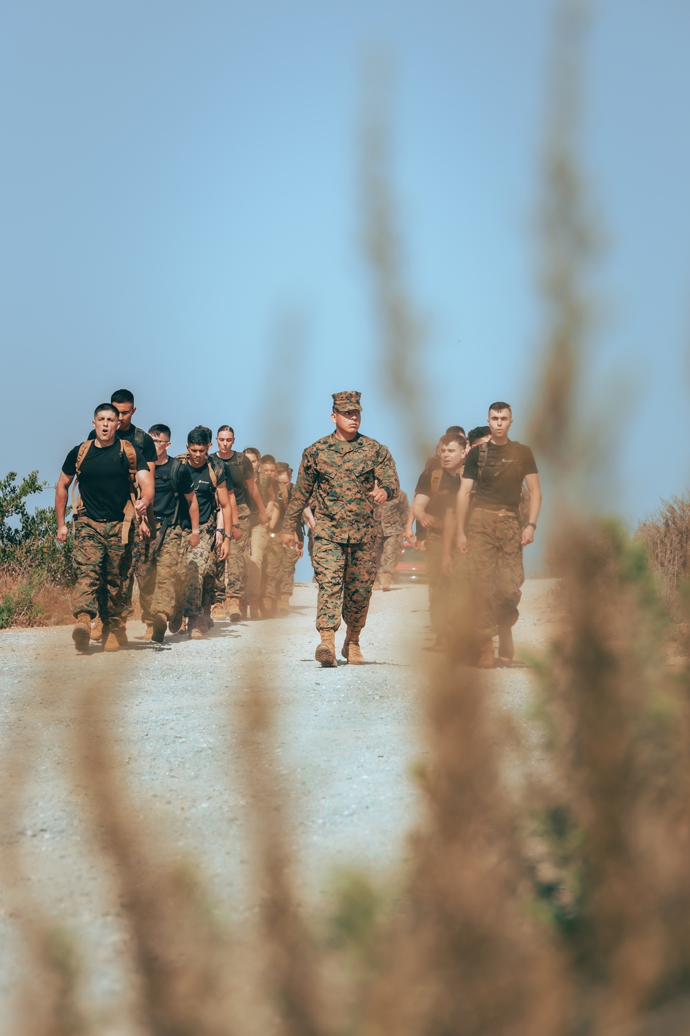 Southern California Officer Candidates Prepare for OCS