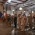 Camp Lemonnier Holds Change of Command