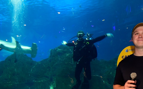 Navy Explosive Ordnance Disposal Technicians demonstrate dive skills at aquarium.