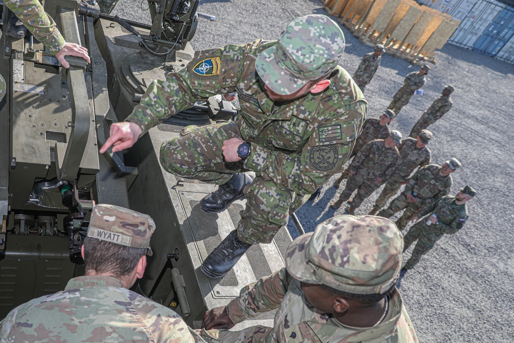 Slovakian NATO EFP soldiers demonstrate equipment to U.S. Soldiers