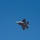 2022 Holloman Legacy of Liberty Air Show and Open House