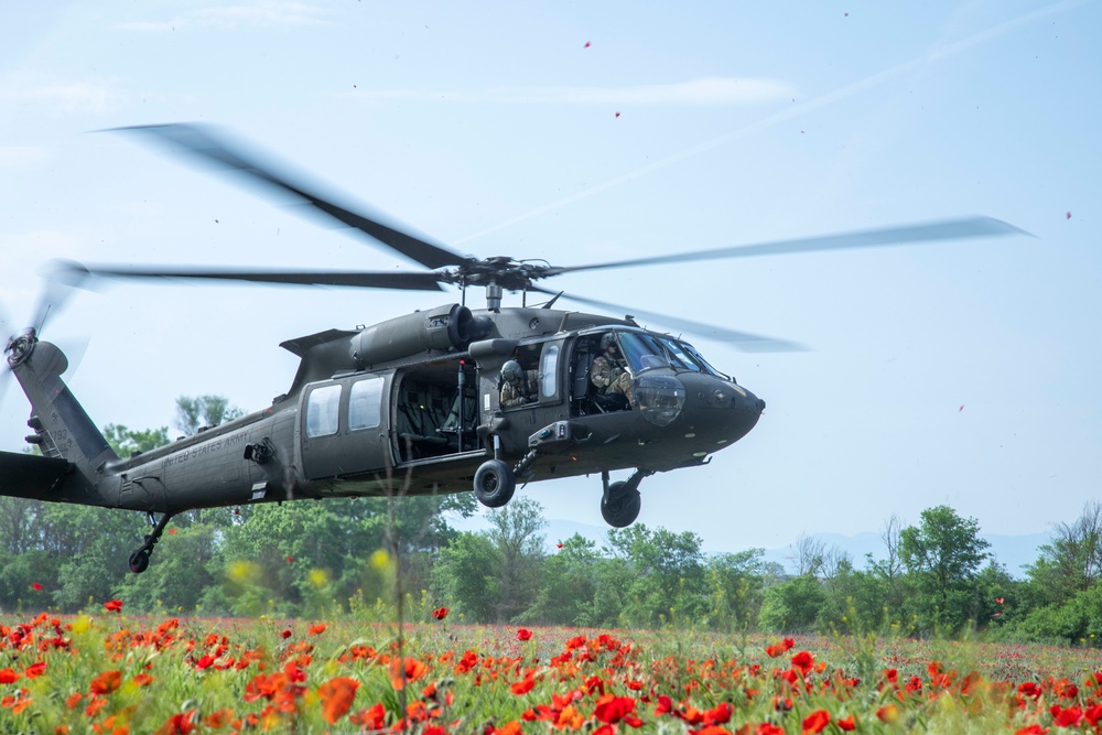 DVIDS - Images - 1st Air Cavalry Brigade trains air assault with U.K ...