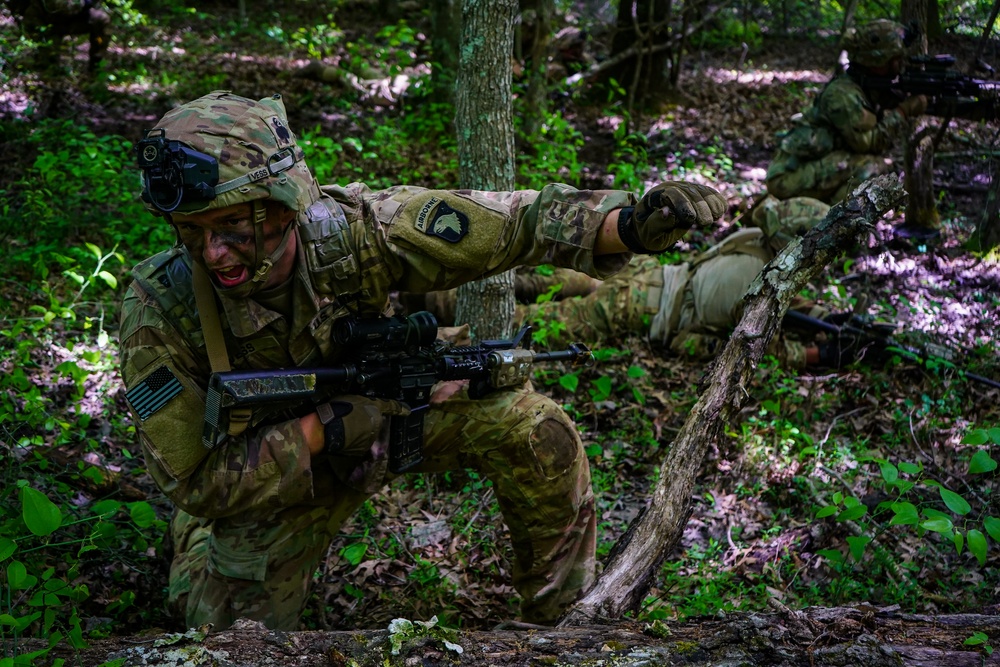 2-327 Infantry &quot;No Slack&quot; conducts STX Lanes during Operation Lethal Eagle 2