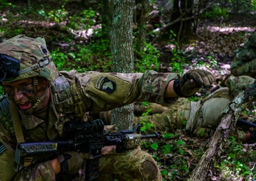 2-327 Infantry &quot;No Slack&quot; conducts STX Lanes during Operation Lethal Eagle 2