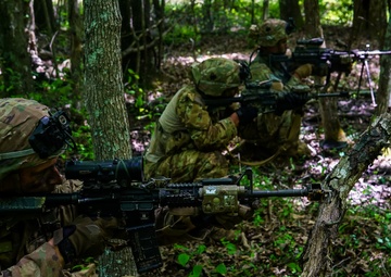 2-327 Infantry &quot;No Slack&quot; conducts STX Lanes during Operation Lethal Eagle 2