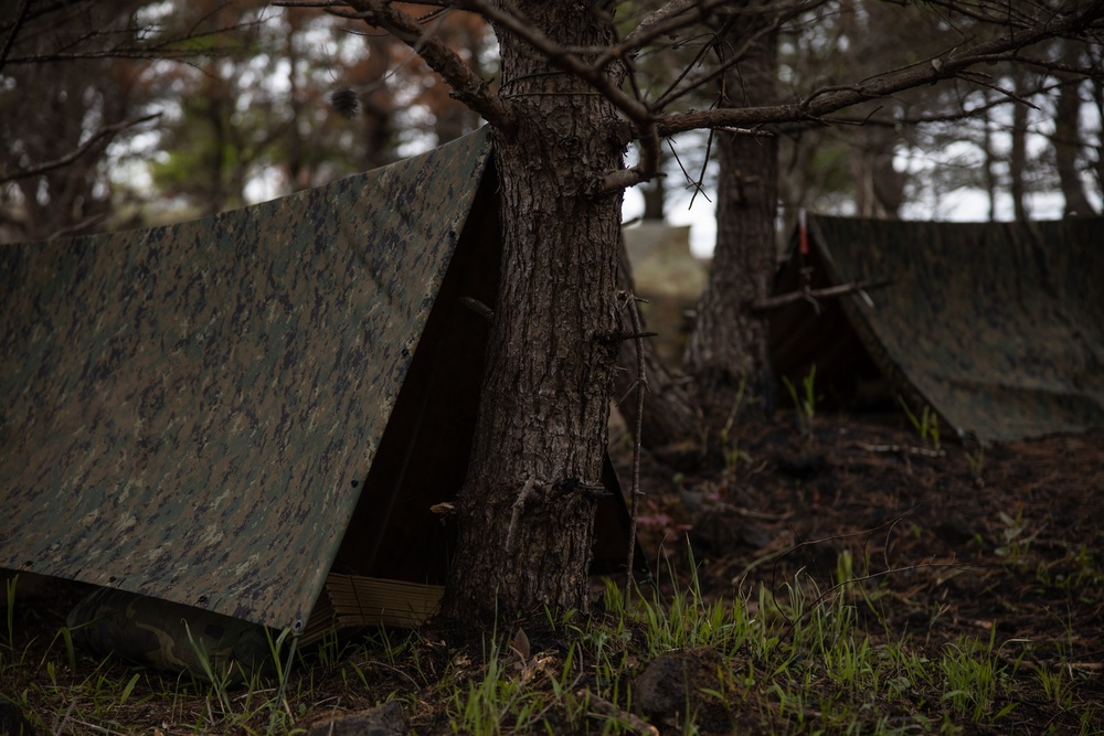 U.S. Marines Conduct MRLEX at CATC, Camp Fuji, Japan