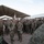 910 Quartermaster Company attends annual training at NTC