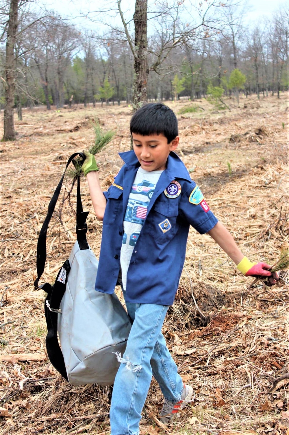 Thousands of trees planted in Fort McCoy training areas during week of Arbor Day