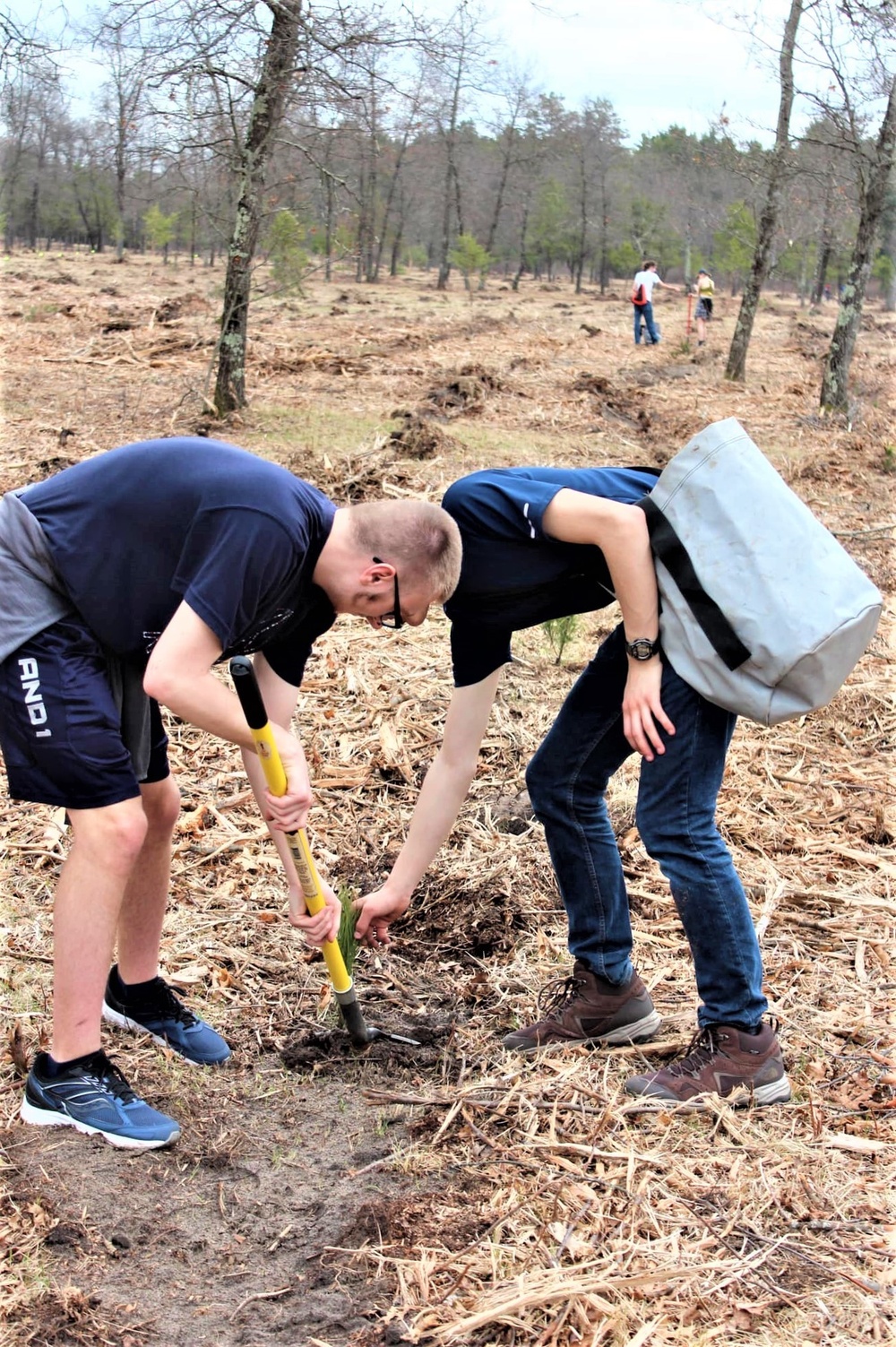 Thousands of trees planted in Fort McCoy training areas during week of Arbor Day